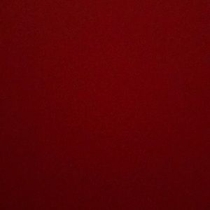 Meet your Posher, Mikayla